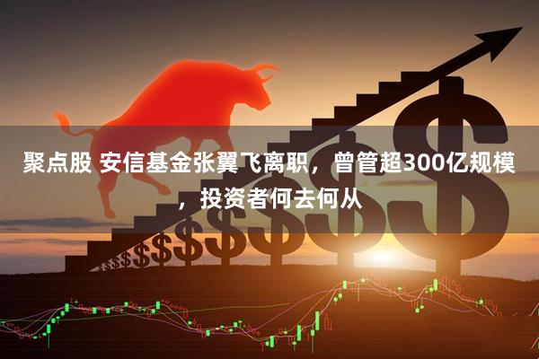 聚点股 安信基金张翼飞离职，曾管超300亿规模，投资者何去何从