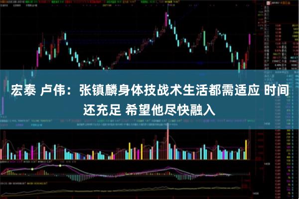 宏泰 卢伟：张镇麟身体技战术生活都需适应 时间还充足 希望他尽快融入