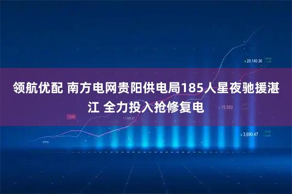 领航优配 南方电网贵阳供电局185人星夜驰援湛江 全力投入抢修复电
