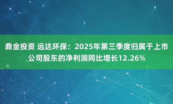 鼎金投资 远达环保：2025年第三季度归属于上市公司股东的净利润同比增长12.26%