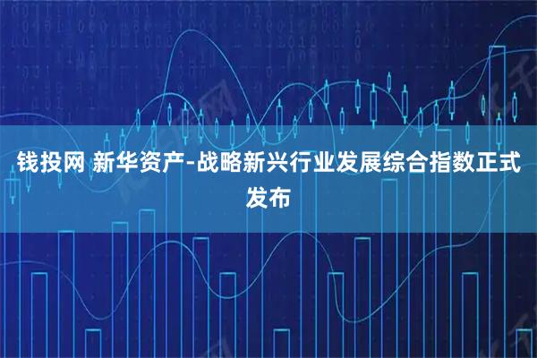 钱投网 新华资产-战略新兴行业发展综合指数正式发布